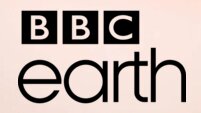 BBC EARTH